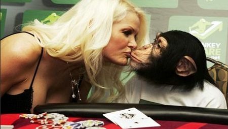 Curiosidades da WSOP: O Dia Que um Macaco Quase Jogou o Main Event