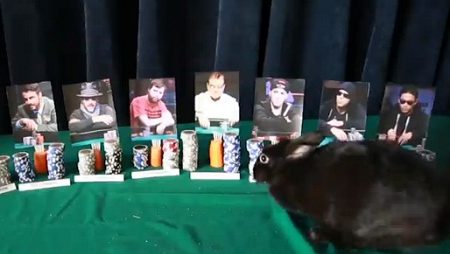 Coelho Vidente Aposta em Vitória de Pierre Neuville no ME da WSOP