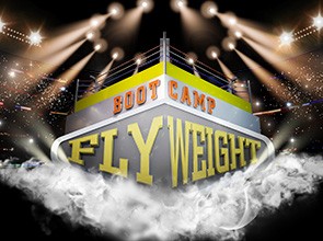 flywieght partypoker