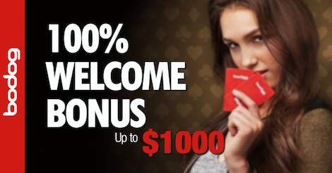 bodog g