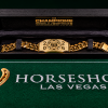 André Welt briga por bracelete em torneio restrito da WSOP